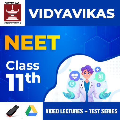 Picture of NEET - Class 11th - Exam Preparation course